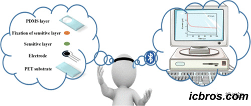 A sweat electrochemical sensor for non-invasive tracking of vitamin C concentration in human body fluids